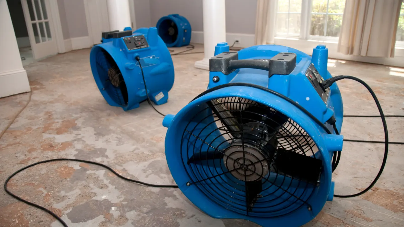 Water damage restoration by New Augusta Water Restoration near Wynnedale, IN